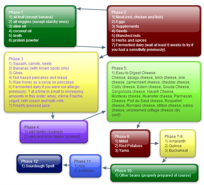 Heal-Your-Gut-Phases